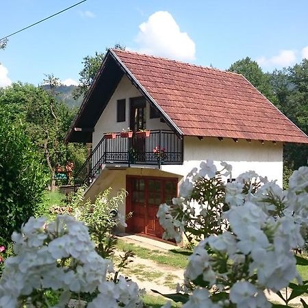 Apartman Ana Hotel Mokra Gora Buitenkant foto